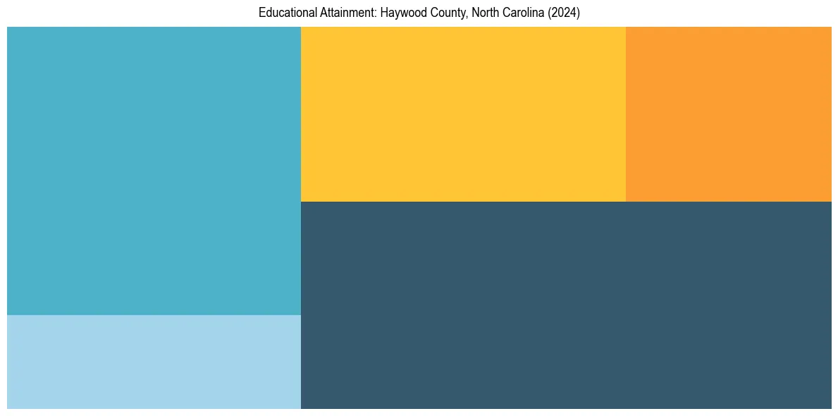 Education Treemap for  in 2024
