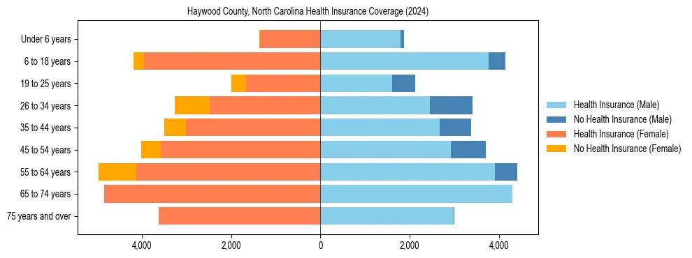Health insurance pyramid for Haywood County, North Carolina