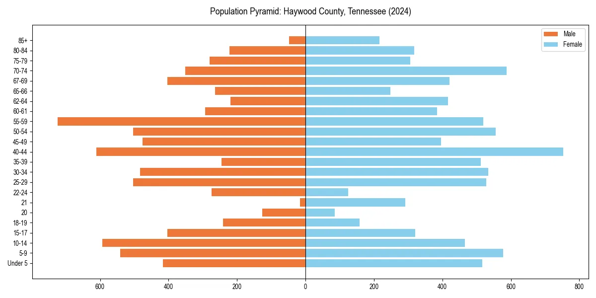 Population pyramid for 