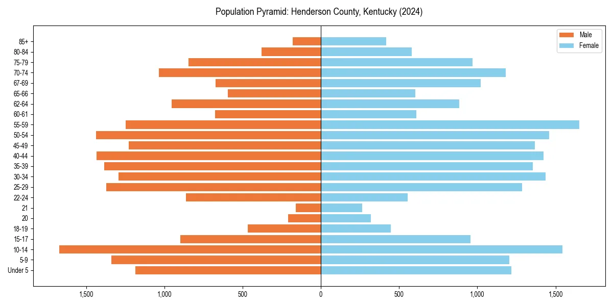 Population pyramid for 