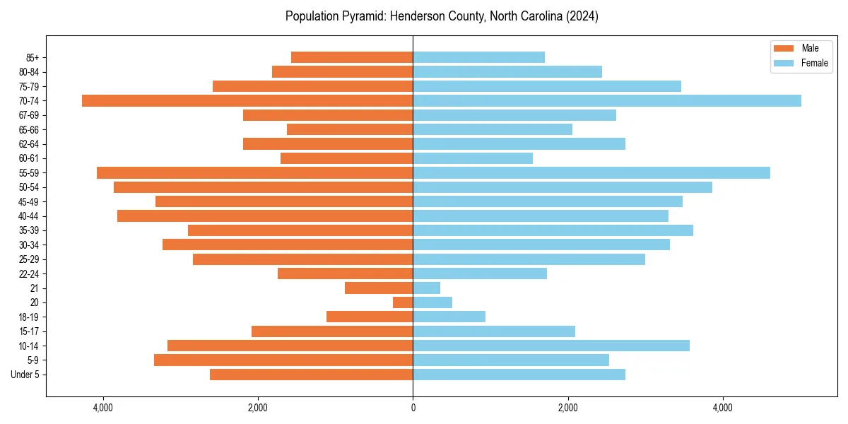Population pyramid for 