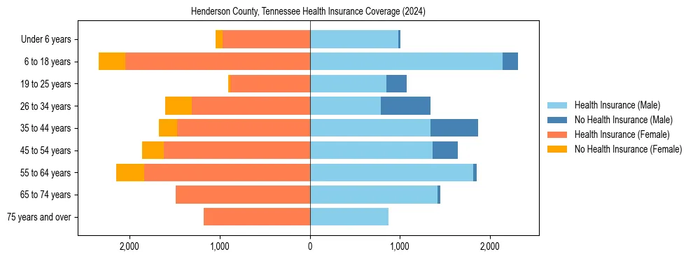 Health insurance pyramid for Henderson County, Tennessee