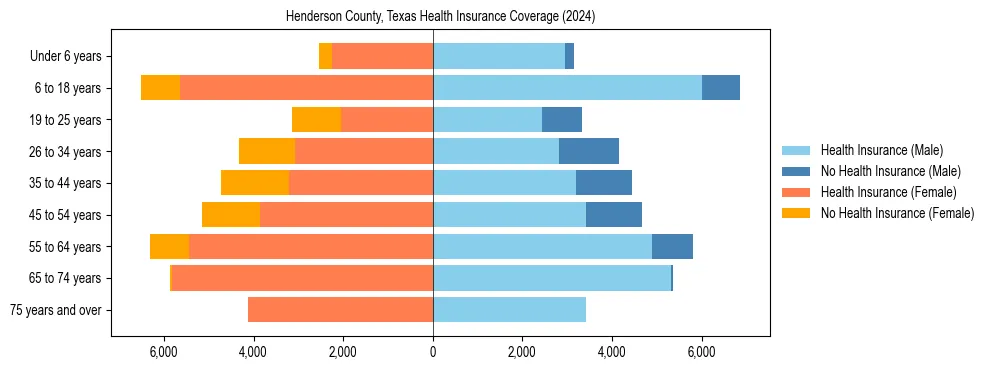 Health insurance pyramid for Henderson County, Texas