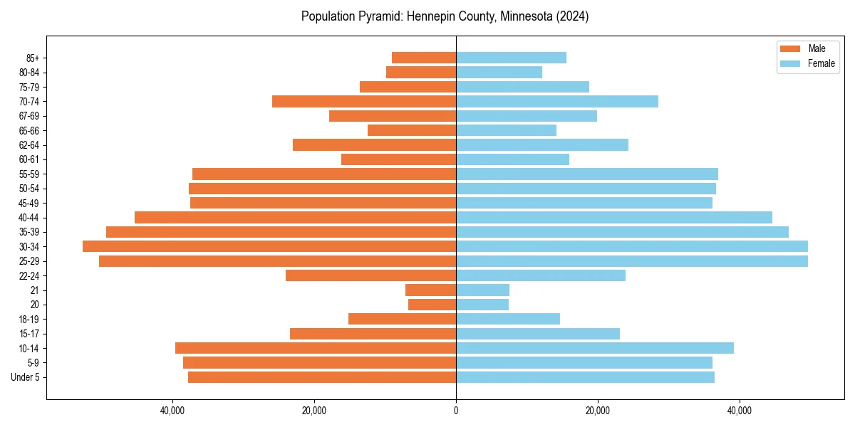 Population pyramid for 