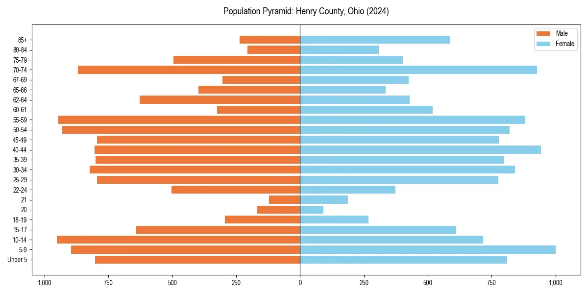 Population pyramid for 