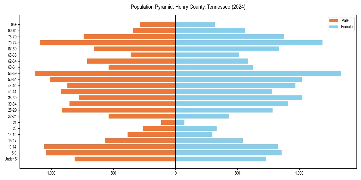 Population pyramid for 