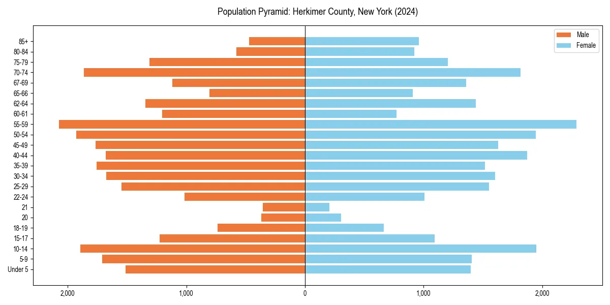 Population pyramid for 
