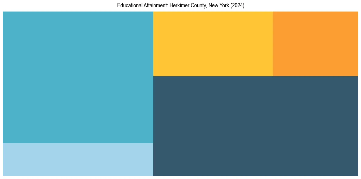 Education Treemap for  in 2024