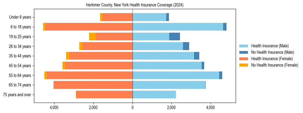 Health insurance pyramid for Herkimer County, New York