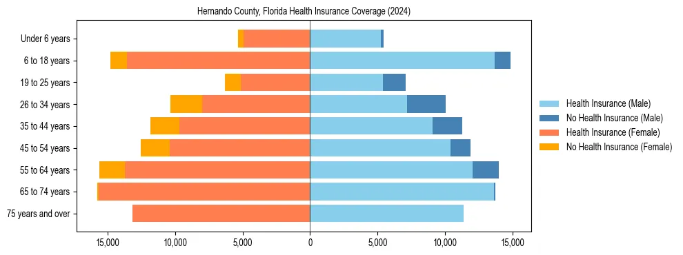 Health insurance pyramid for Hernando County, Florida
