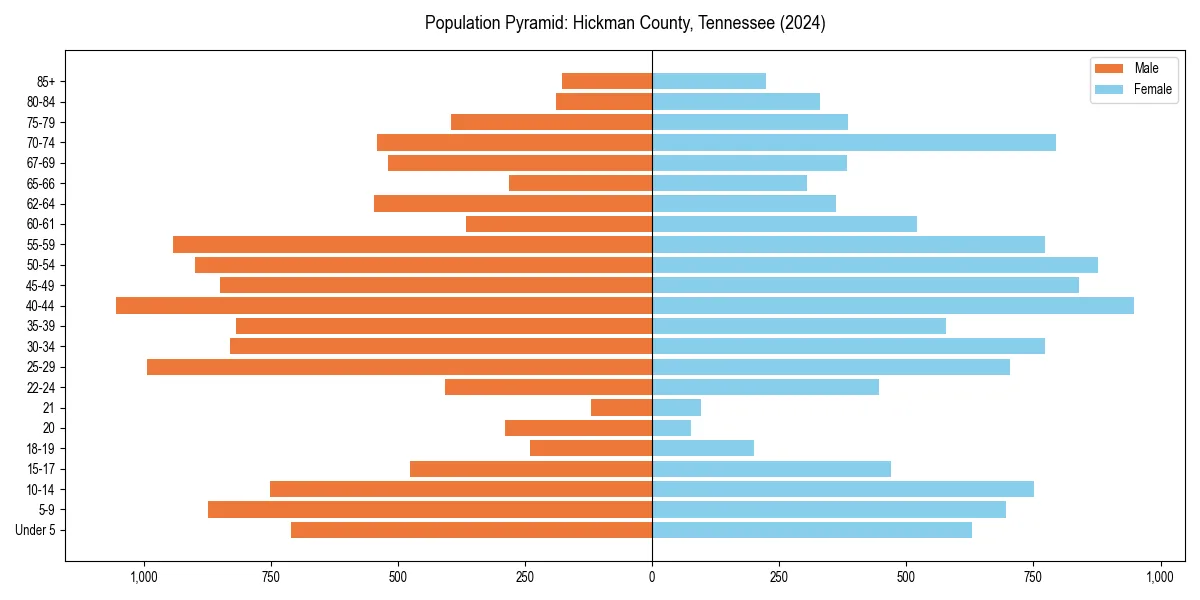 Population pyramid for 
