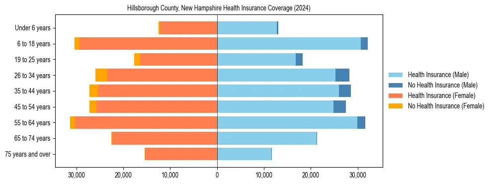 Health insurance pyramid for Hillsborough County, New Hampshire