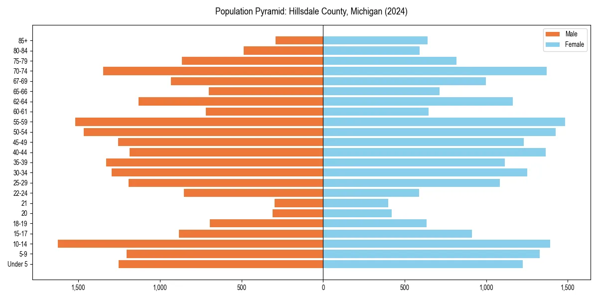 Population pyramid for 