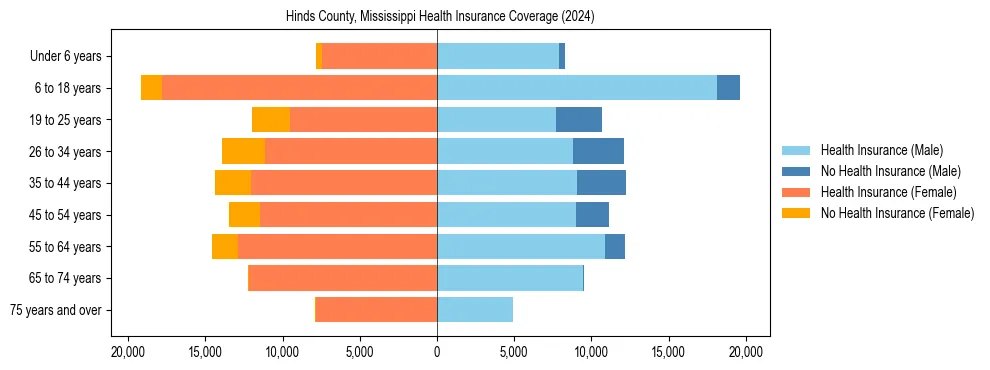 Health insurance pyramid for Hinds County, Mississippi