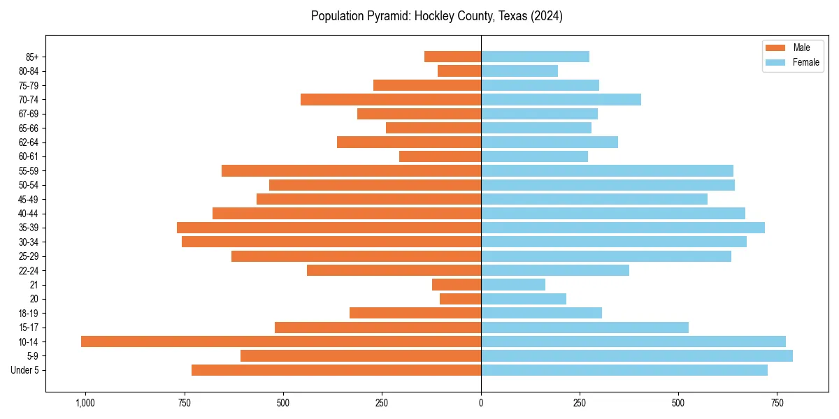 Population pyramid for 