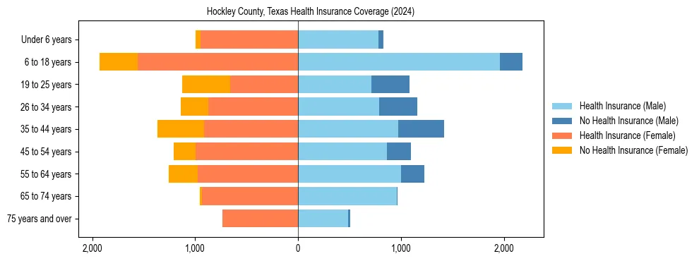Health insurance pyramid for Hockley County, Texas