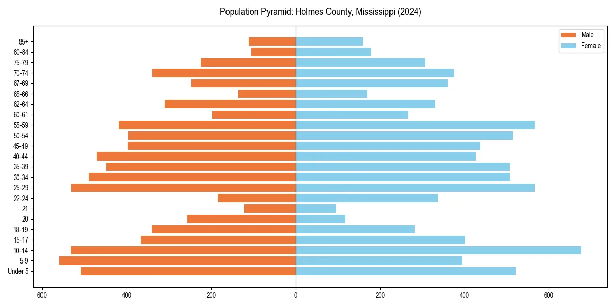 Population pyramid for 
