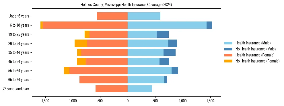 Health insurance pyramid for Holmes County, Mississippi
