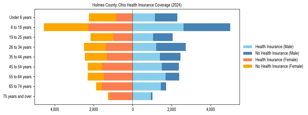 Health insurance pyramid for Holmes County, Ohio