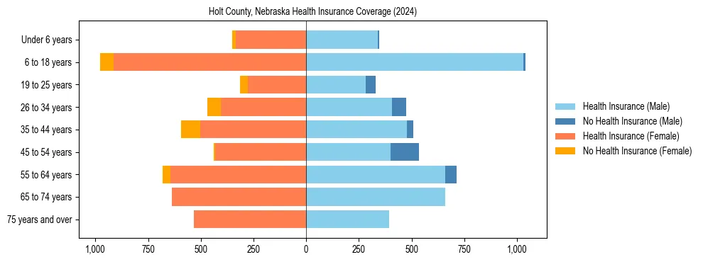 Health insurance pyramid for Holt County, Nebraska