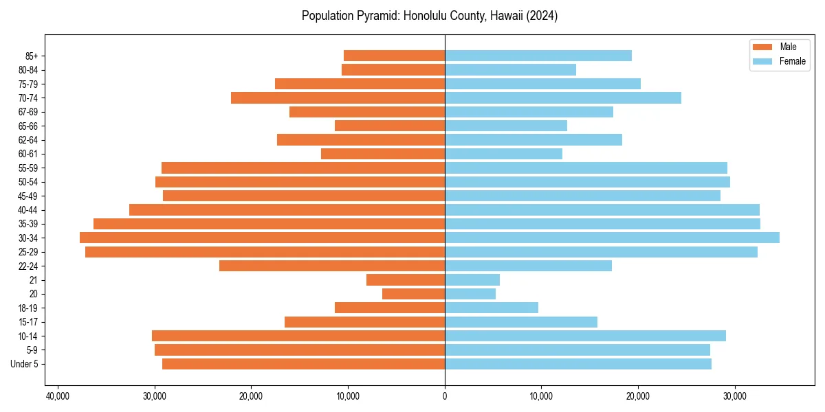 Population pyramid for 