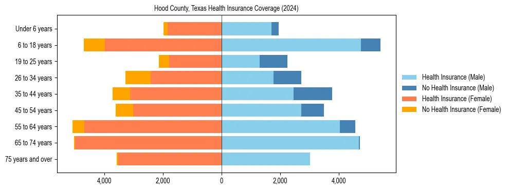 Health insurance pyramid for Hood County, Texas