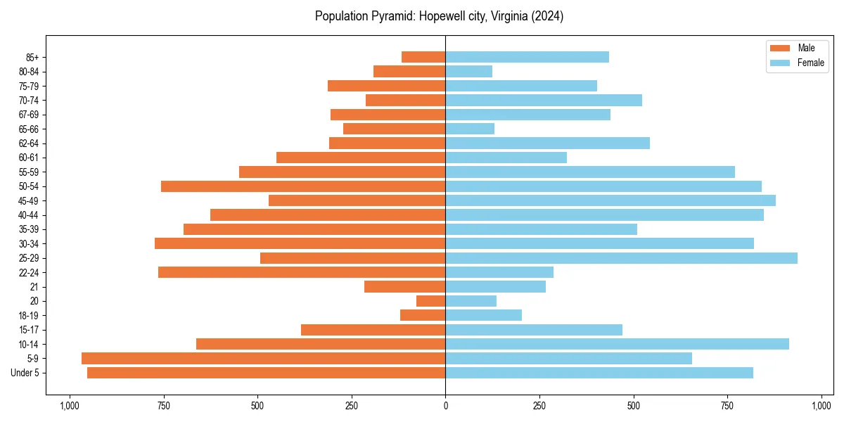 Population pyramid for 