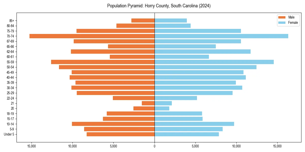 Population pyramid for 