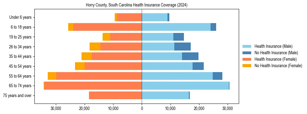 Health insurance pyramid for Horry County, South Carolina