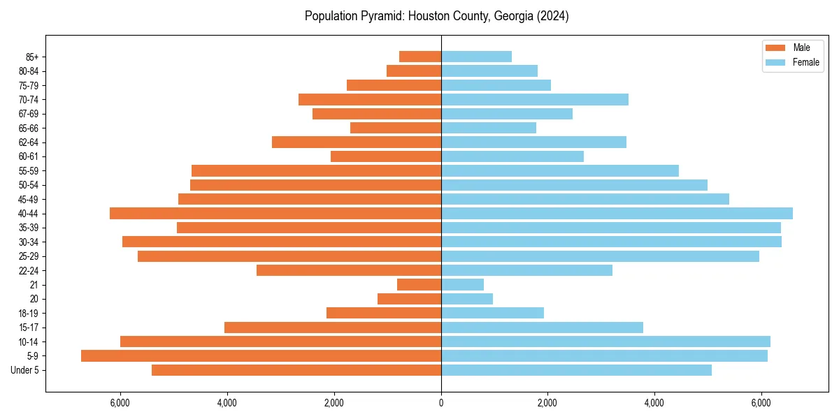 Population pyramid for 