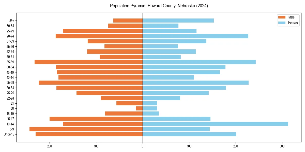 Population pyramid for 