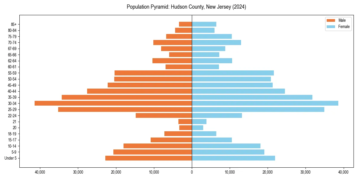 Population pyramid for 
