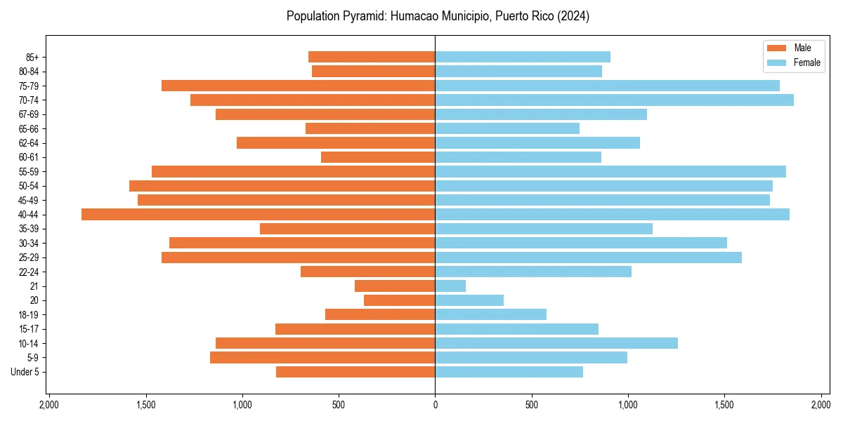 Population pyramid for 