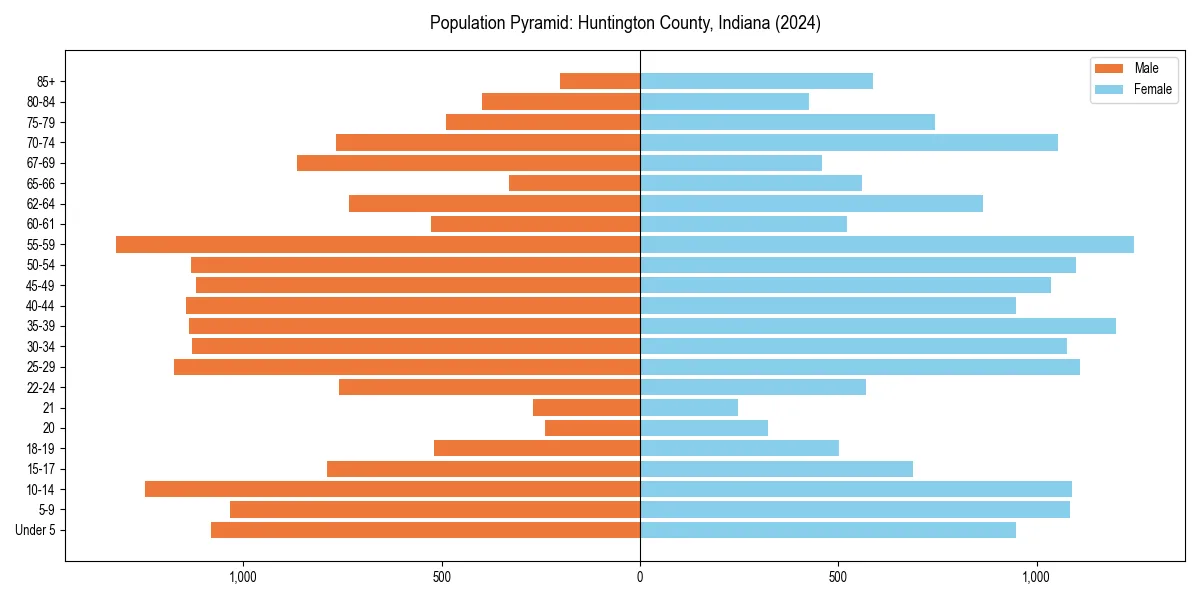 Population pyramid for 