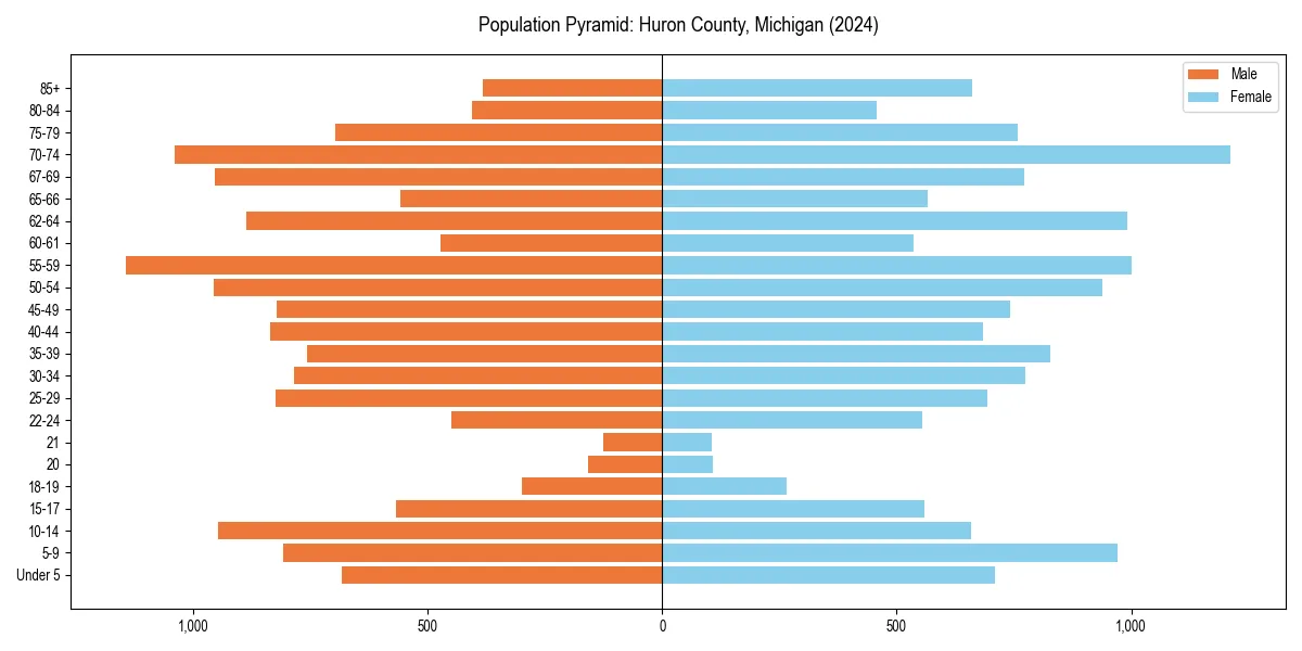 Population pyramid for 