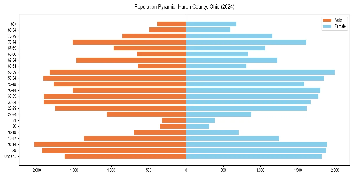 Population pyramid for 