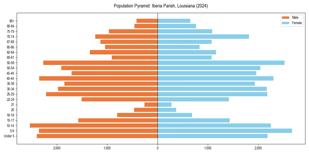 Population pyramid for 
