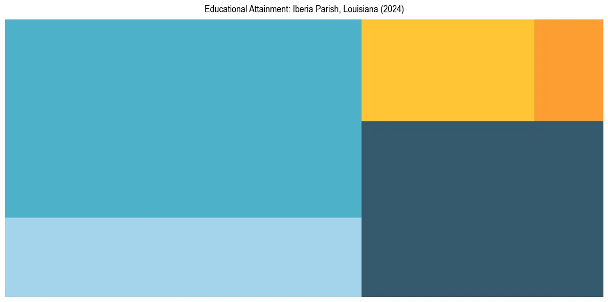 Education Treemap for  in 2024