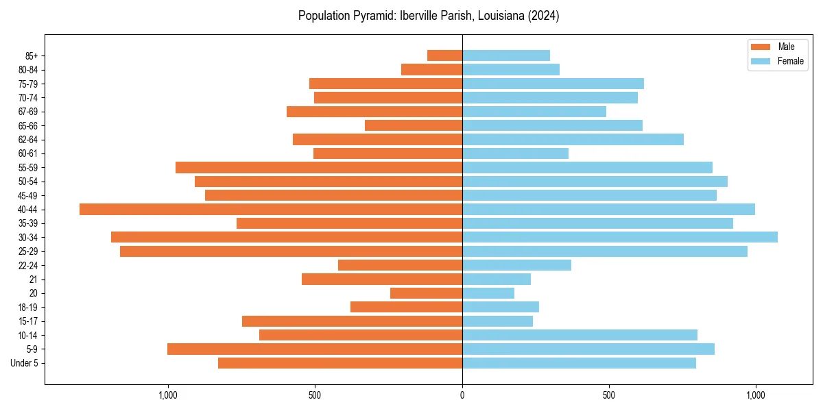Population pyramid for 