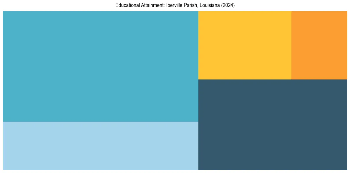 Education Treemap for  in 2024