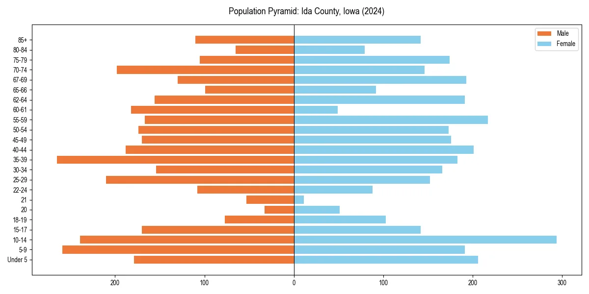 Population pyramid for 