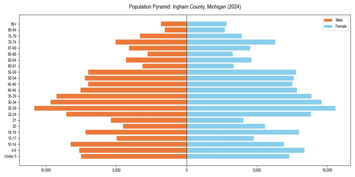 Population pyramid for 