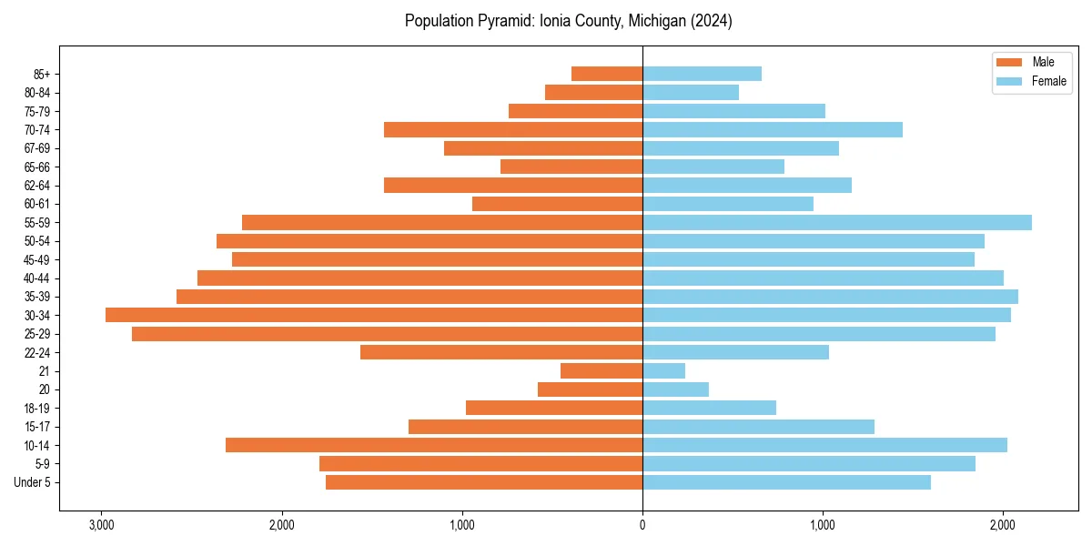 Population pyramid for 