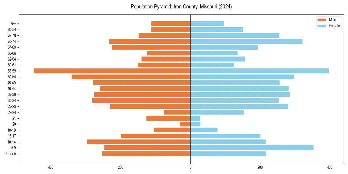Population pyramid for 