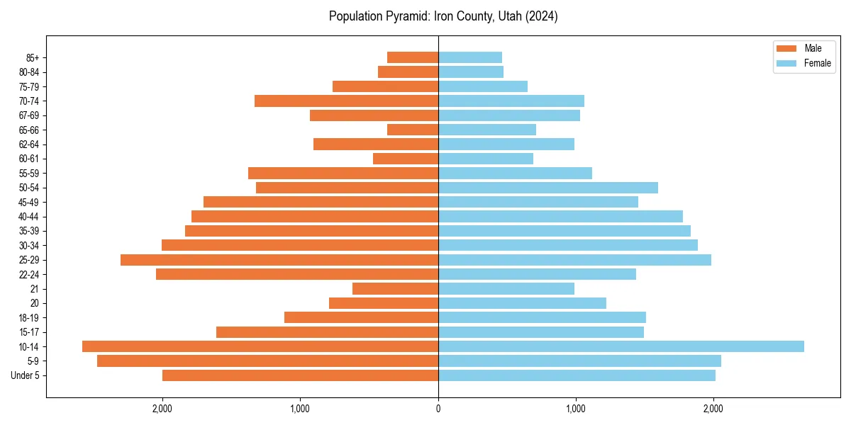 Population pyramid for 