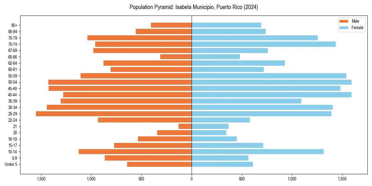 Population pyramid for 