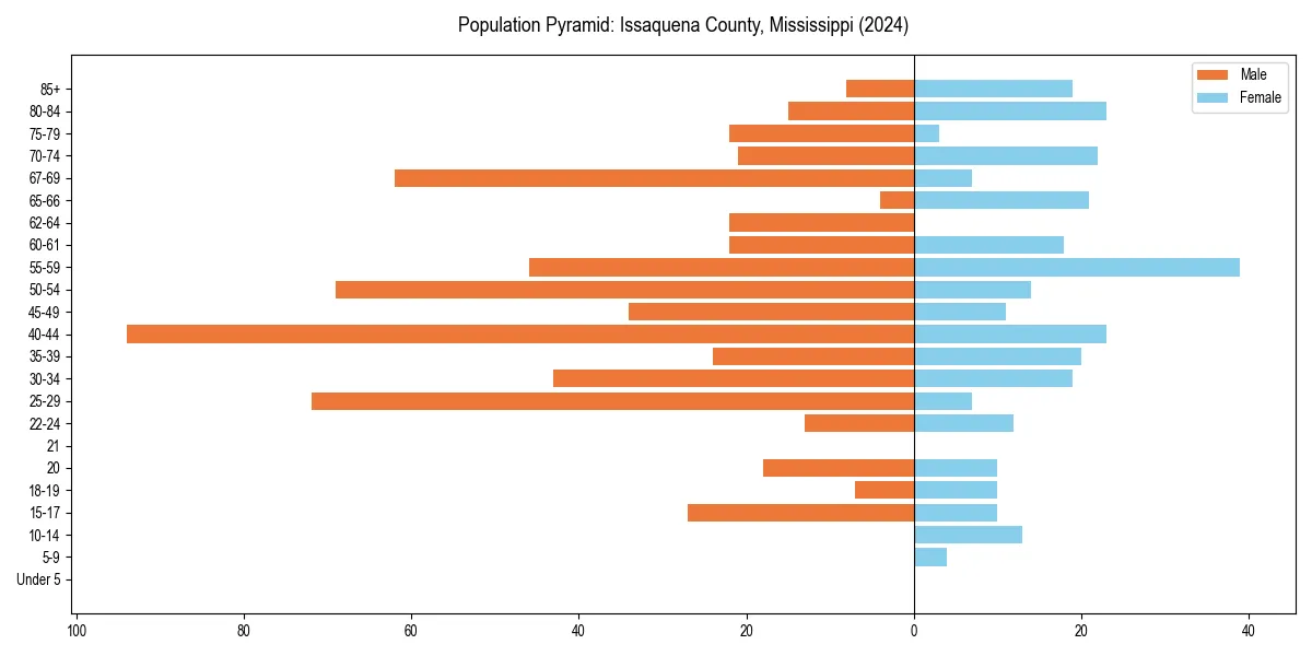 Population pyramid for 