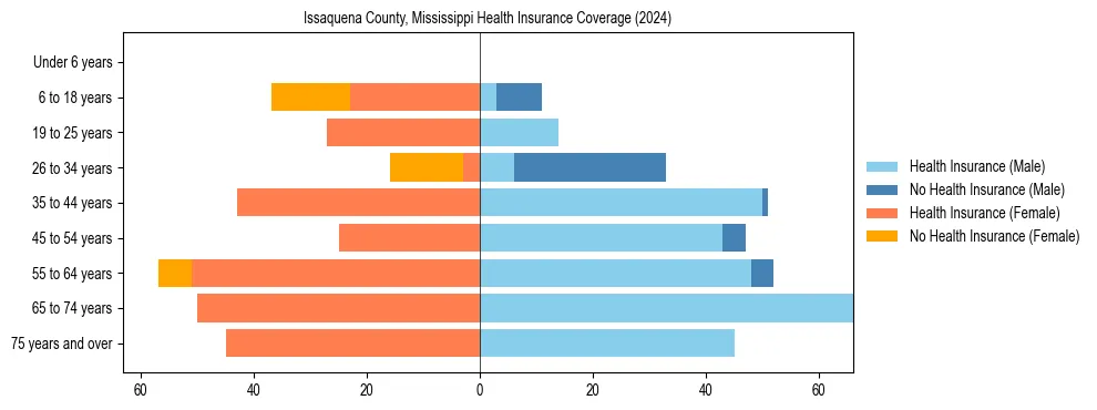 Health insurance pyramid for Issaquena County, Mississippi