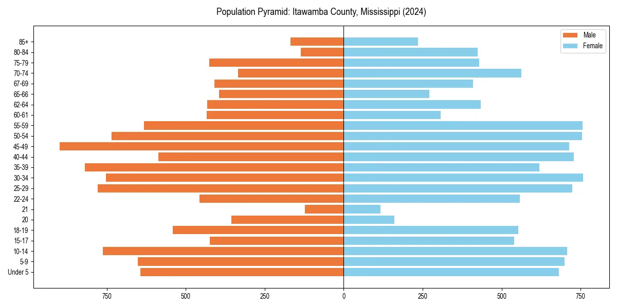 Population pyramid for 