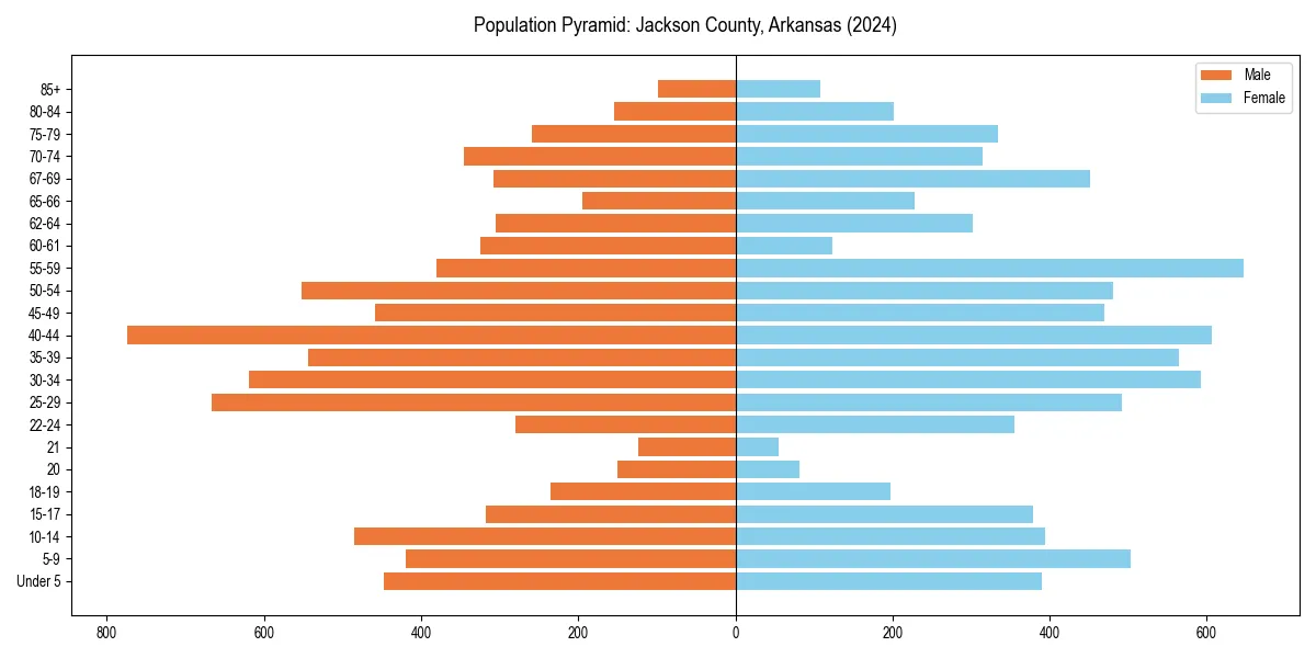 Population pyramid for 